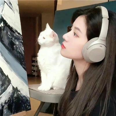 首尔破笑组